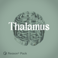 Thalamus